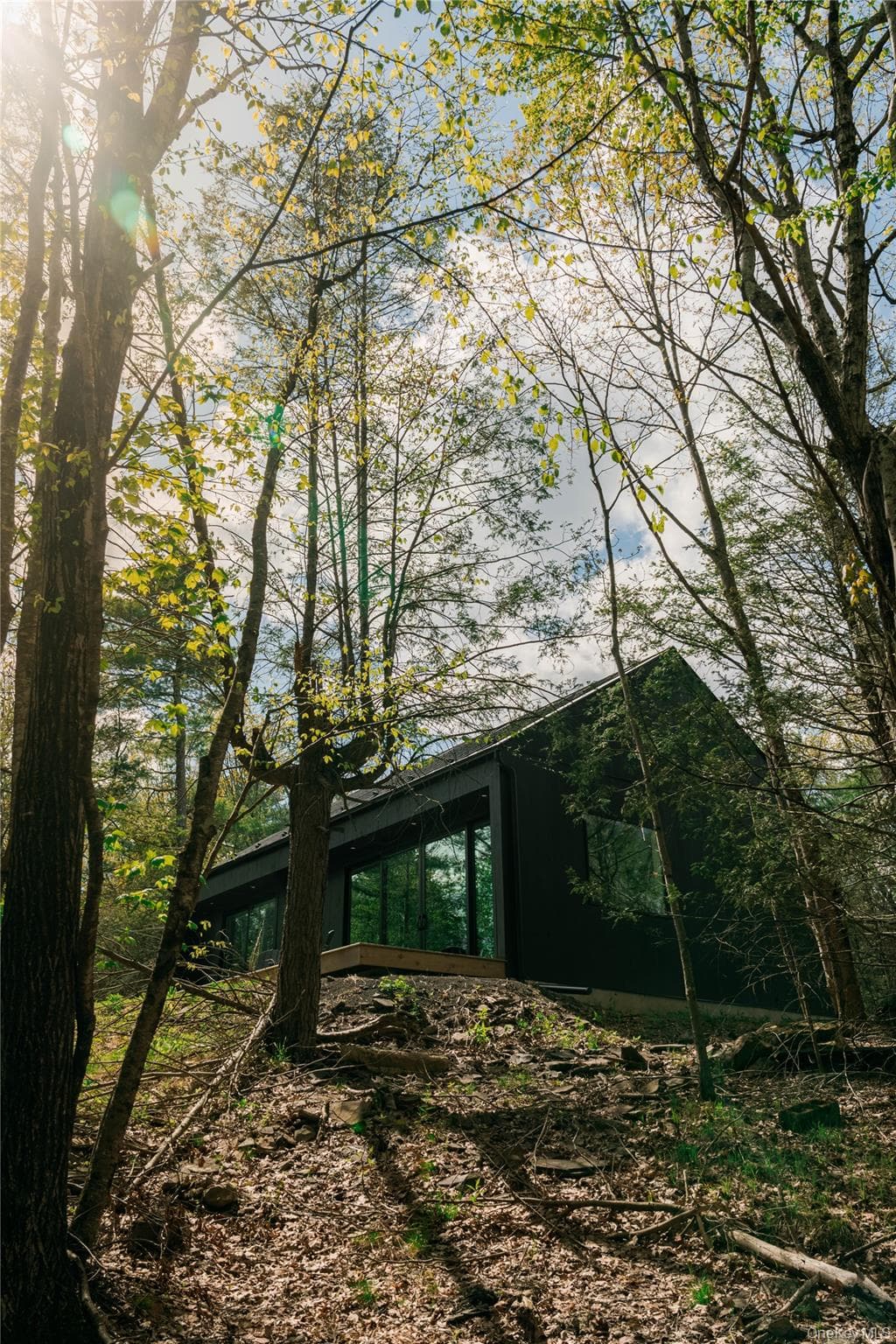 115 Goat Hill Road thumbnail 20