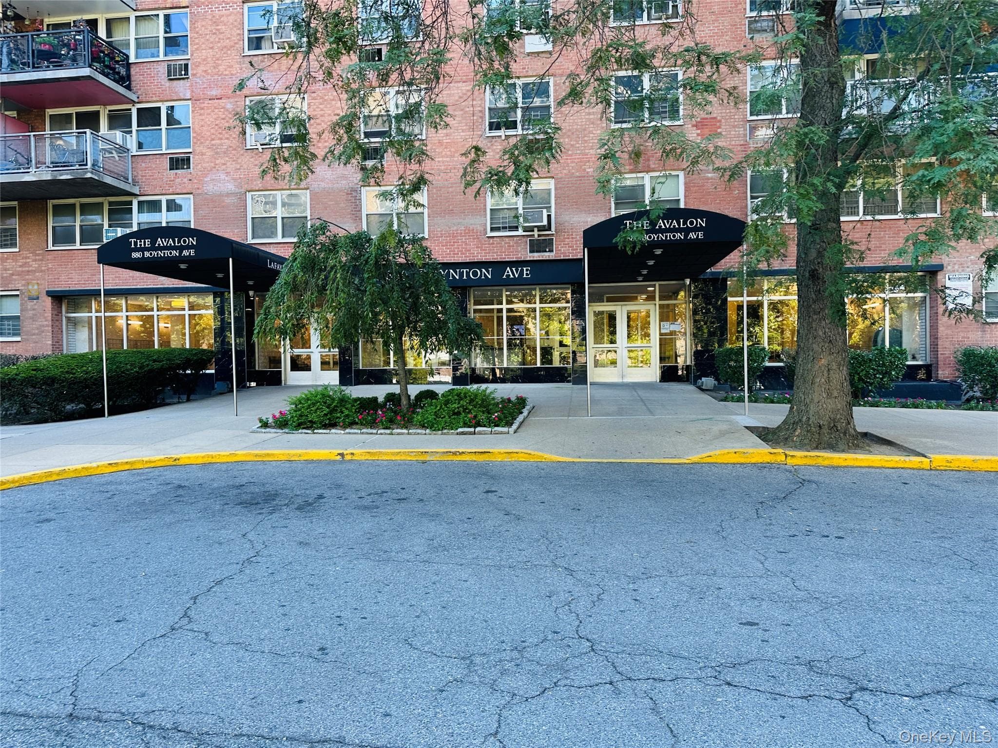 880 Boynton Avenue Unit: 8M thumbnail 3