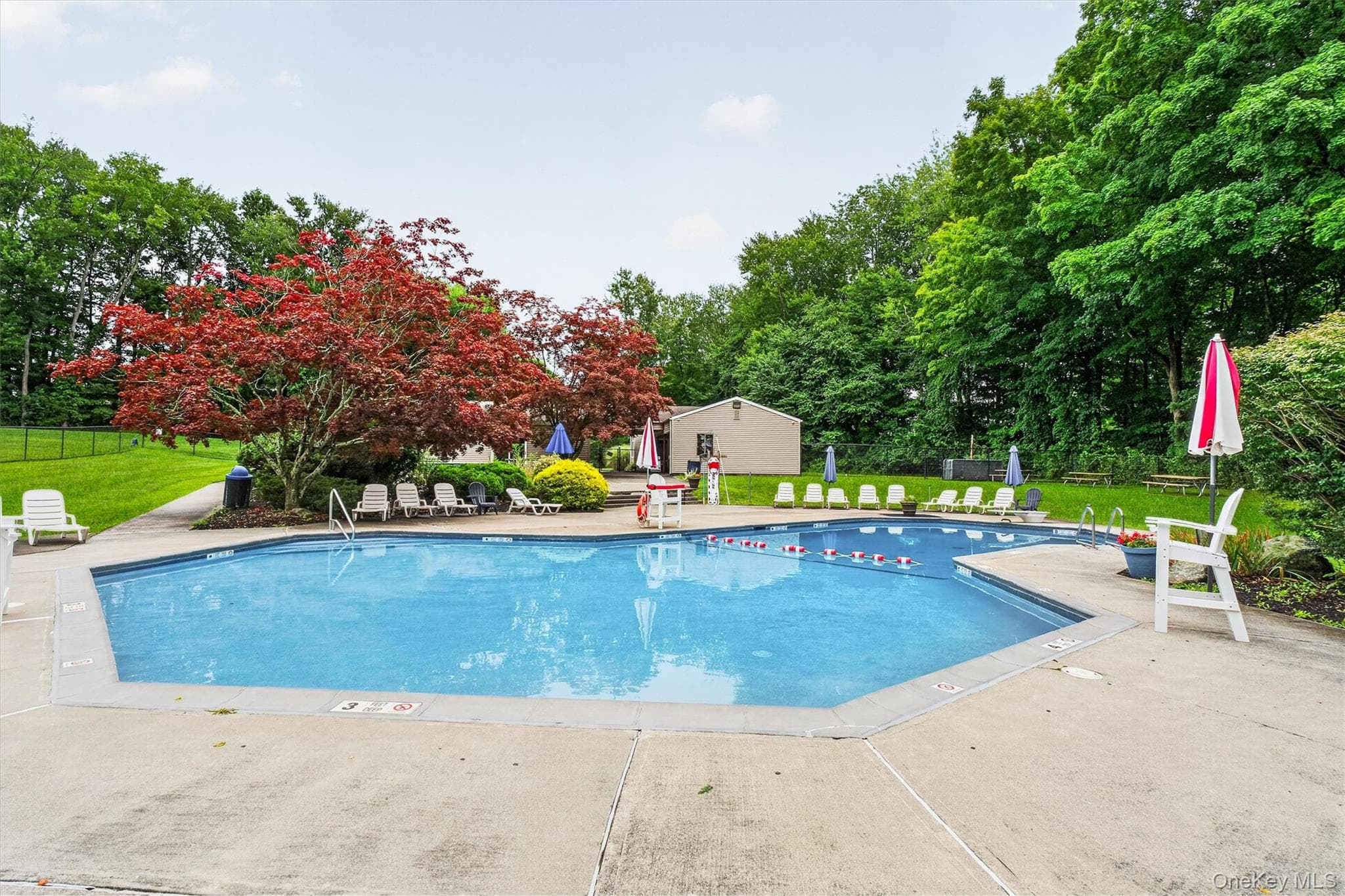 803 Village Drive thumbnail 37