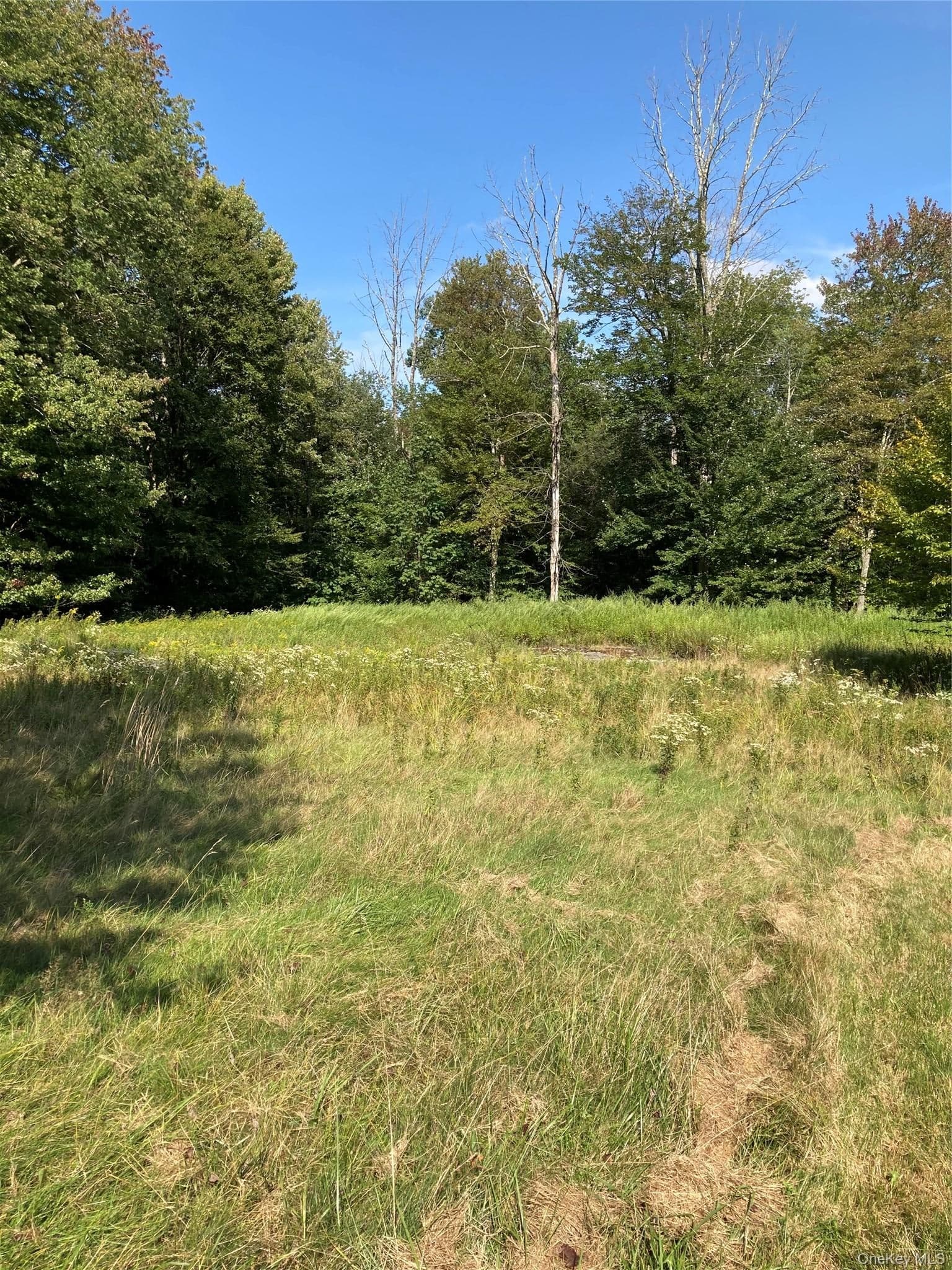 699 Budd Road thumbnail 16