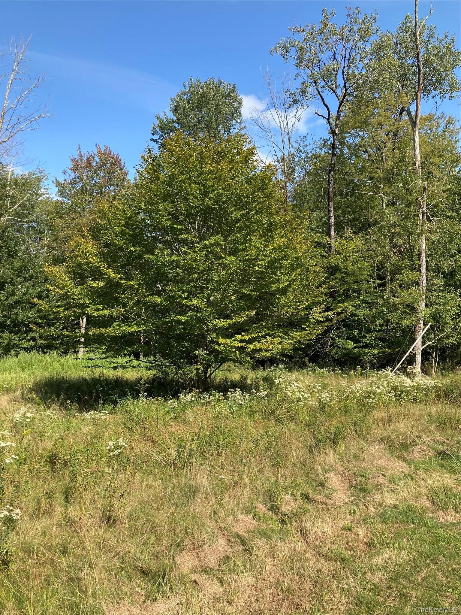 699 Budd Road thumbnail 22