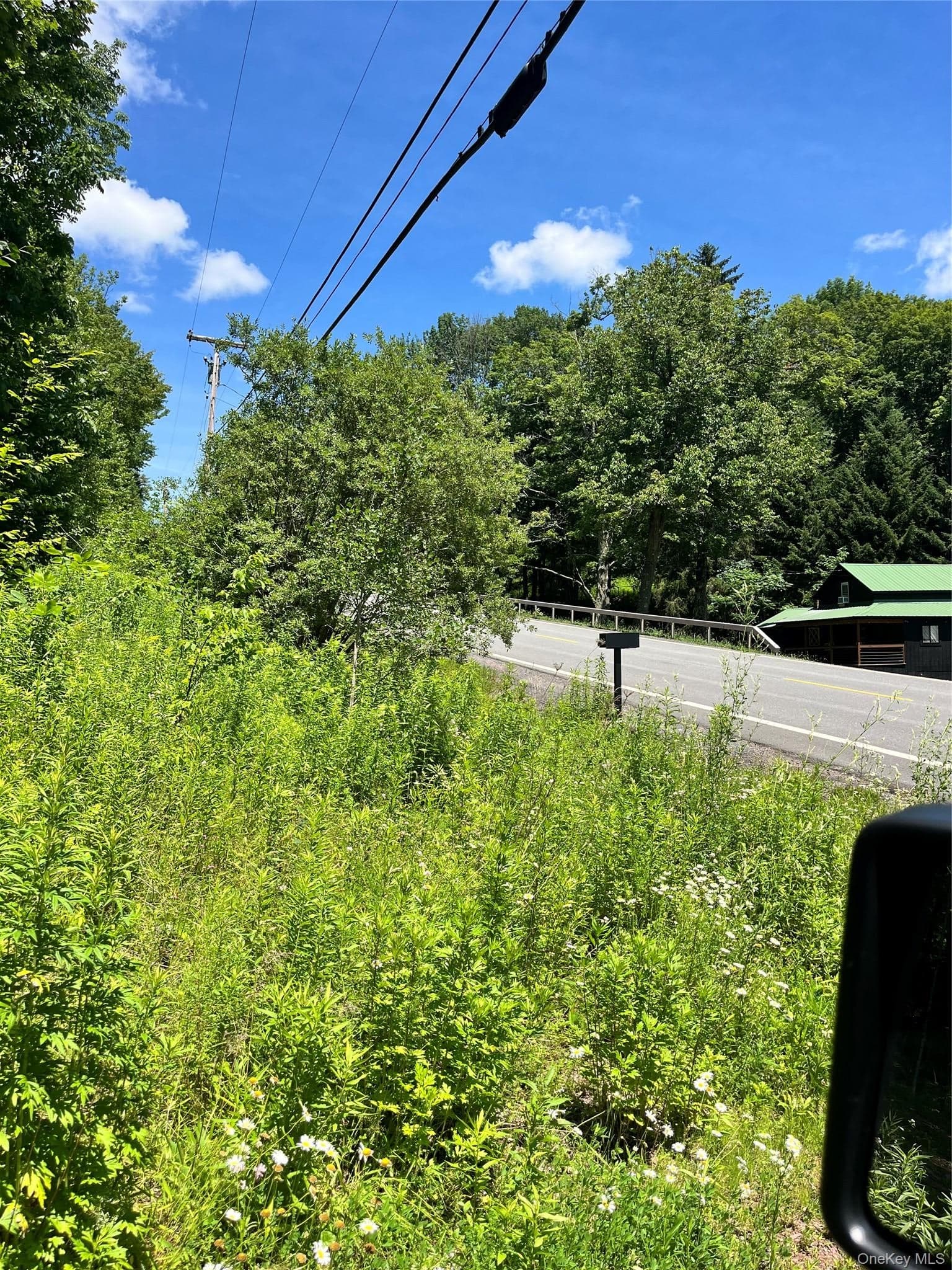 Lower Pond Dahlia Road thumbnail 25