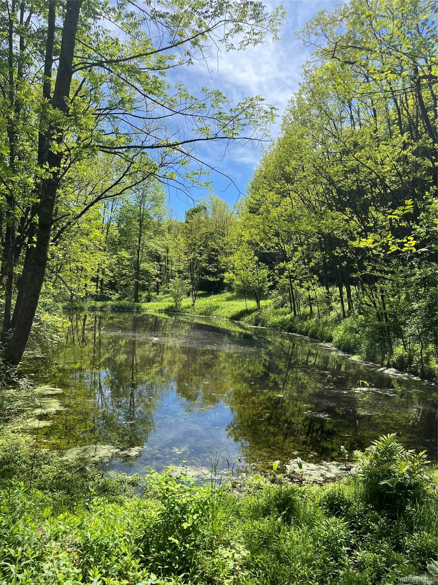 Lower Pond Dahlia Road thumbnail 4