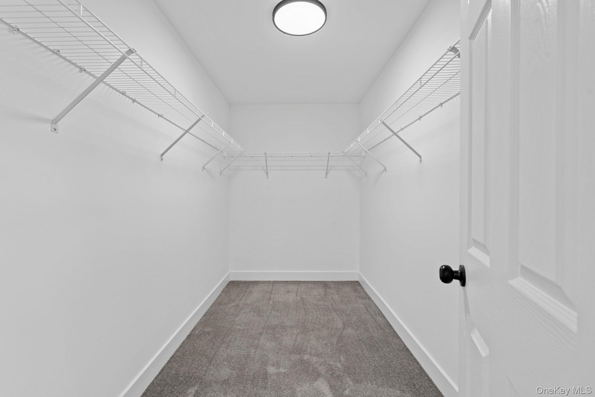 59 Paddock Drive thumbnail 24