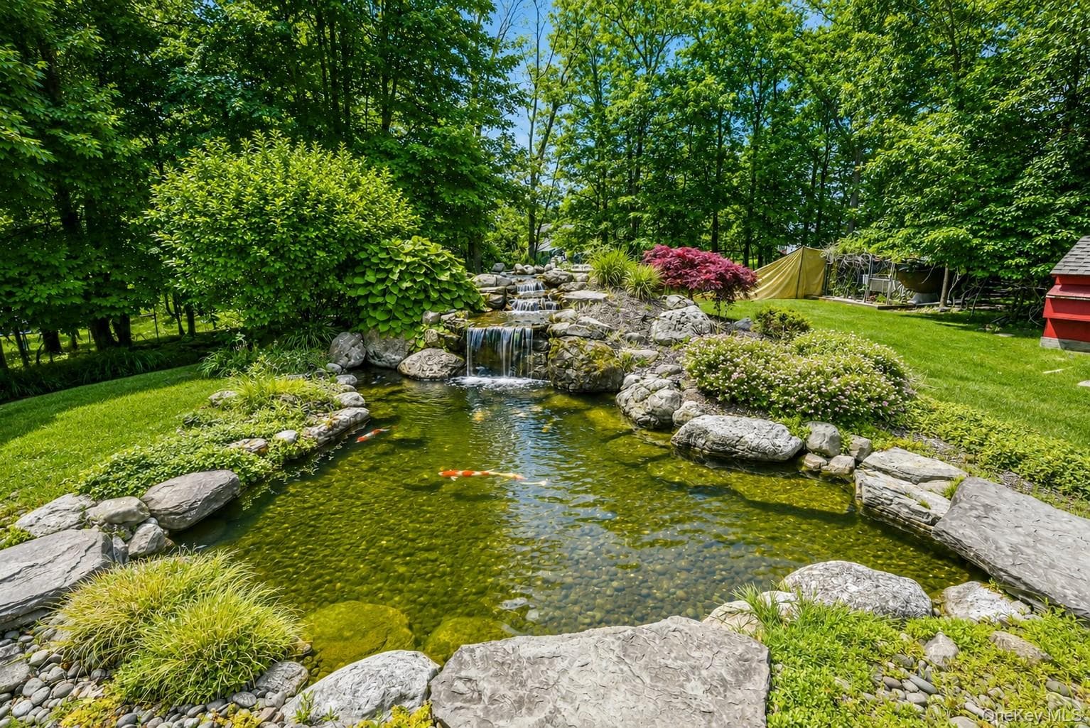 11 Country Hollow thumbnail 45