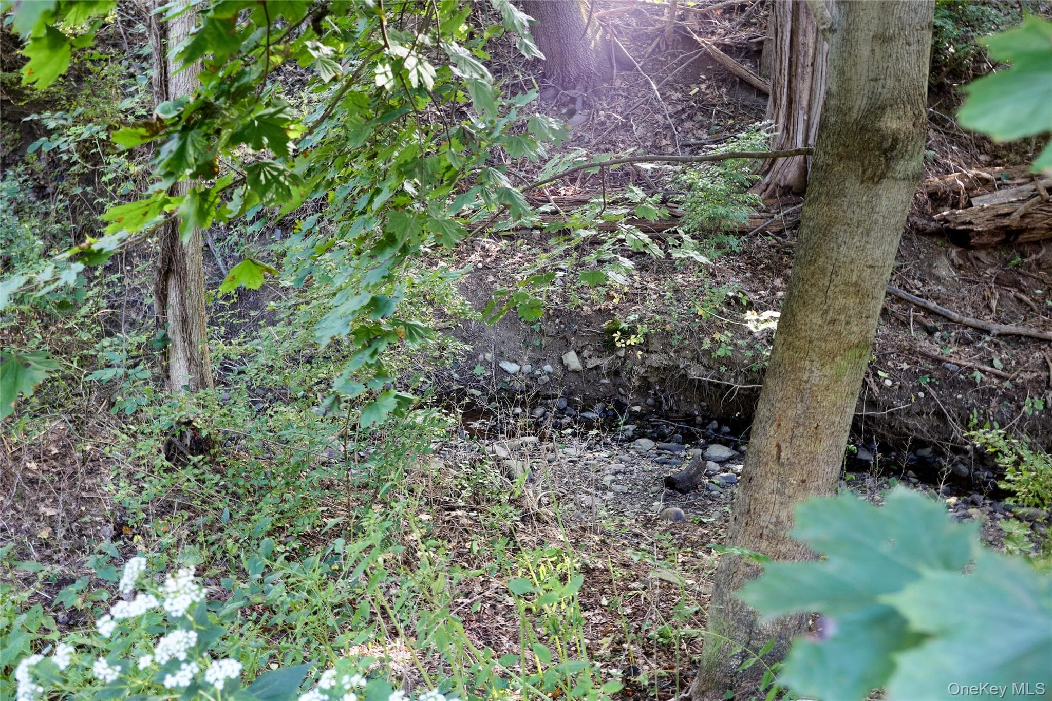 9 Red Oaks Mill Road thumbnail 35