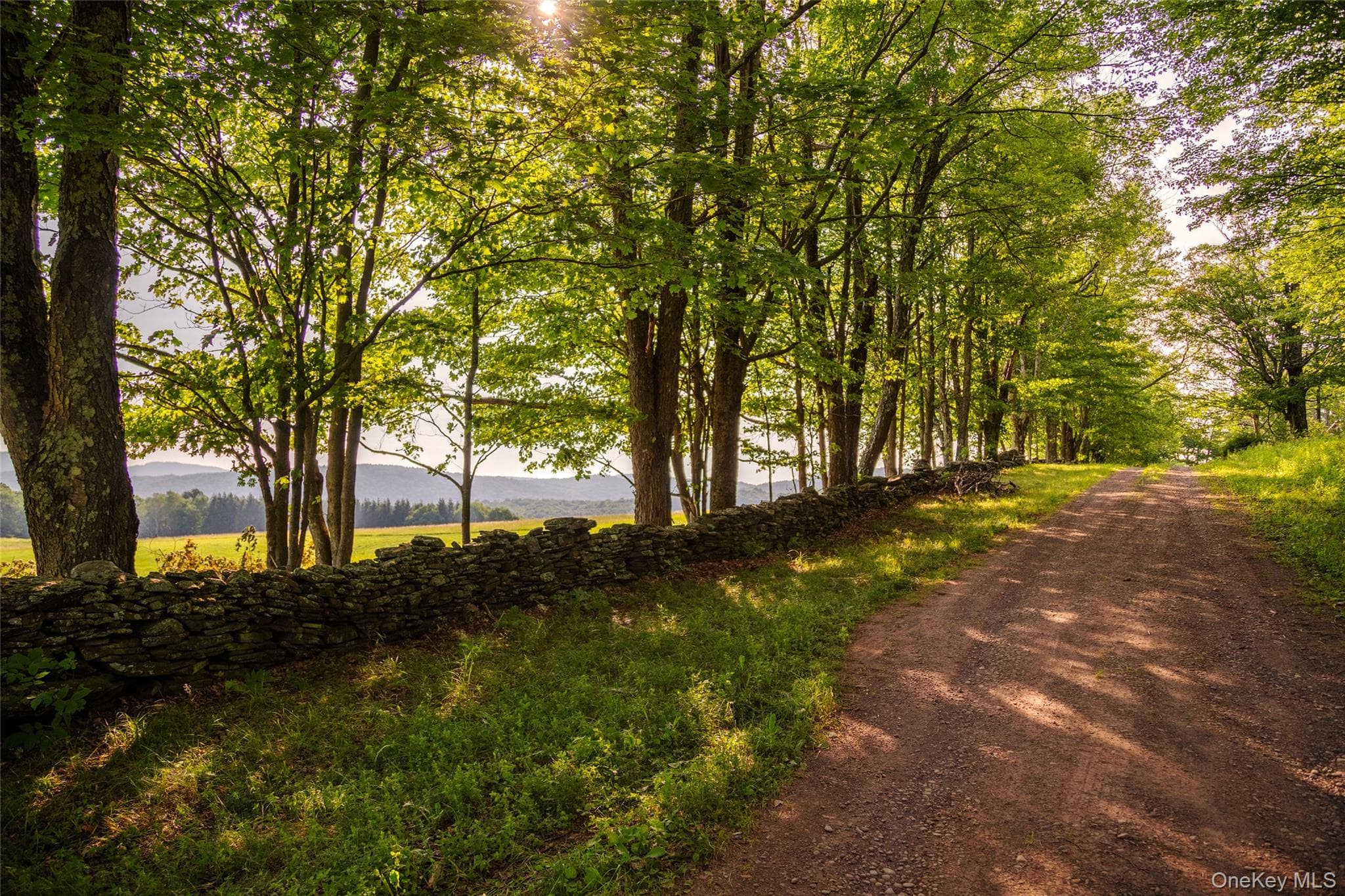 377 Reinertsen Hill Road thumbnail 34