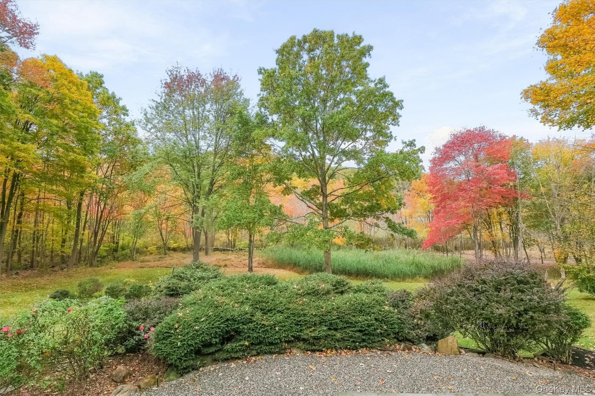 127 Croton Avenue thumbnail 28