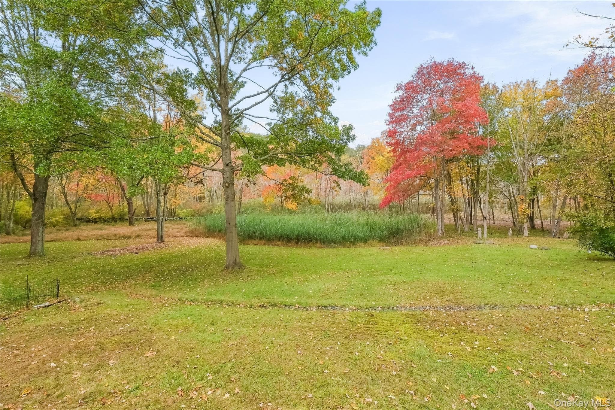 127 Croton Avenue thumbnail 32