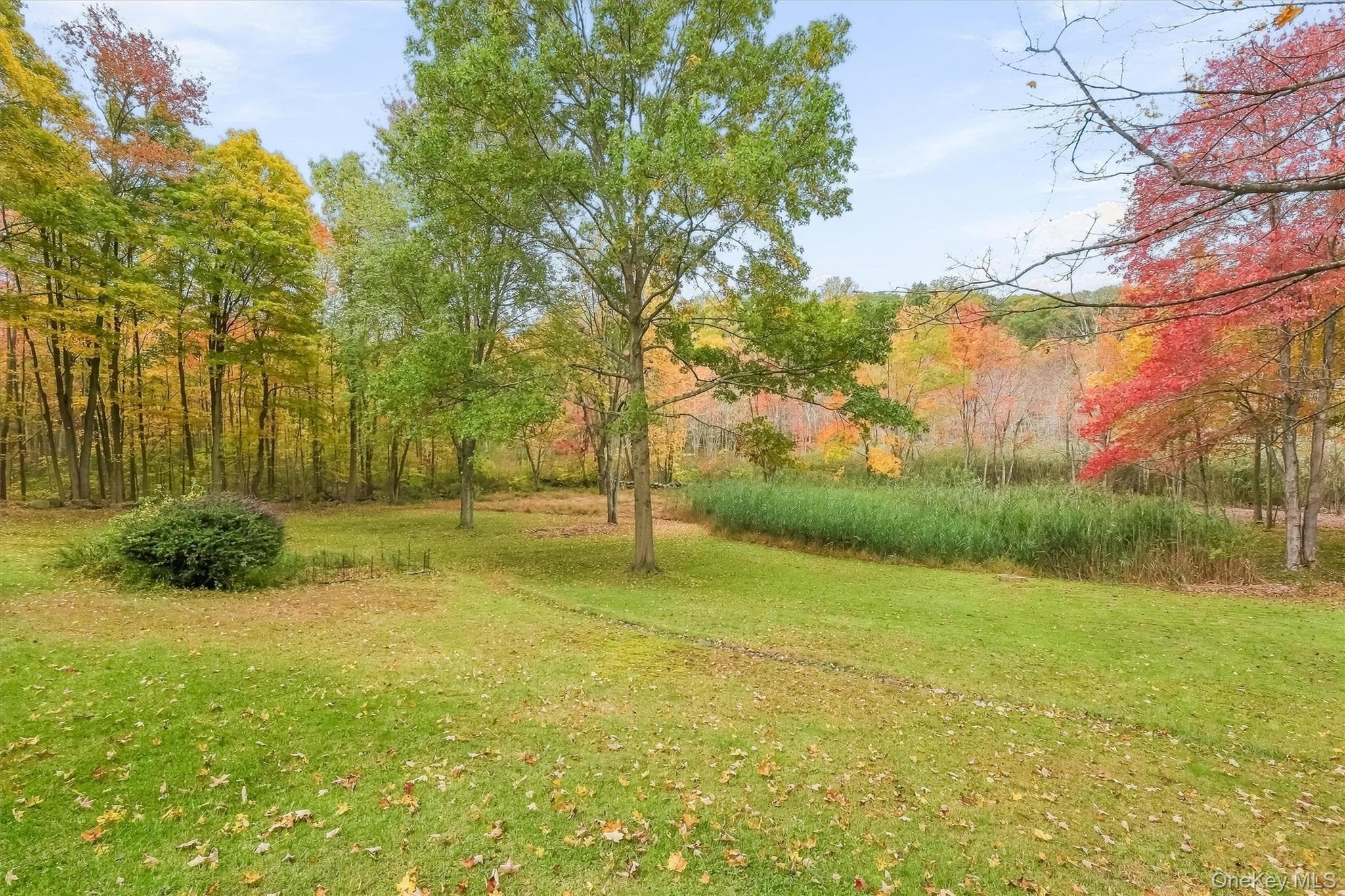127 Croton Avenue thumbnail 31