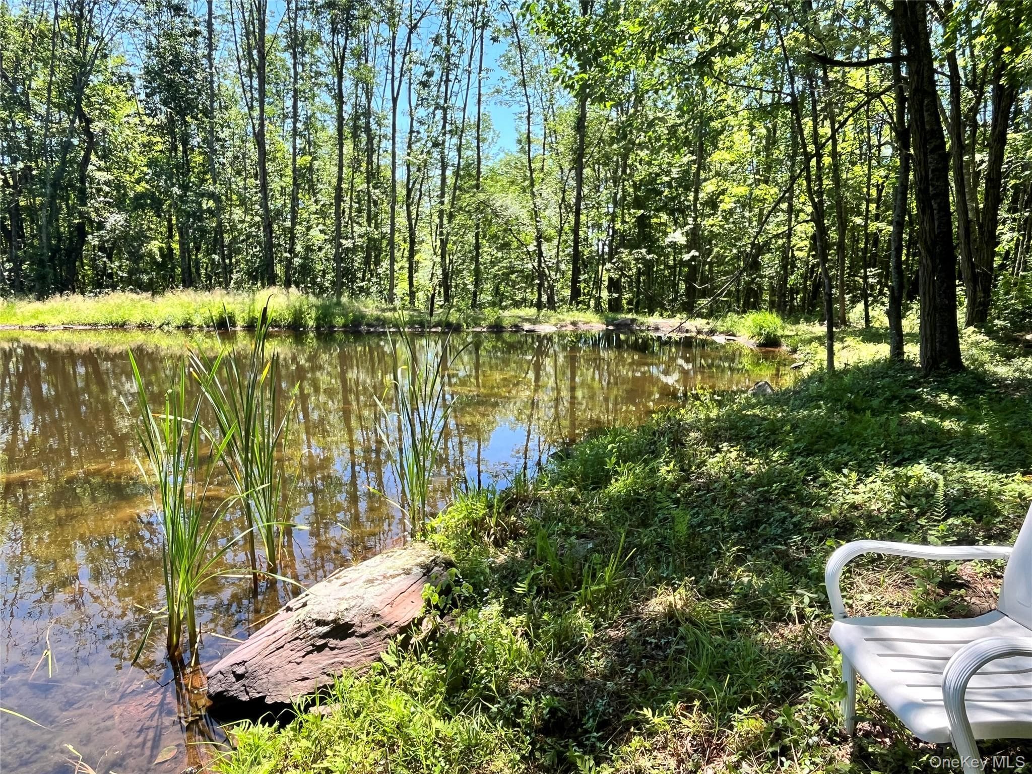 Upper Pond Dahlia Road, Livingston Manor