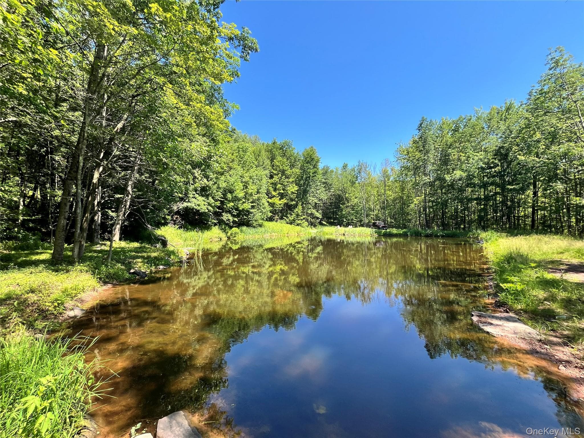 Upper Pond Dahlia Road thumbnail 11