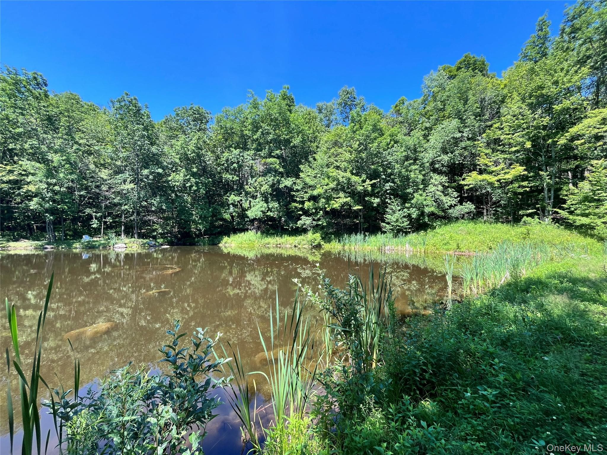 Upper Pond Dahlia Road thumbnail 15