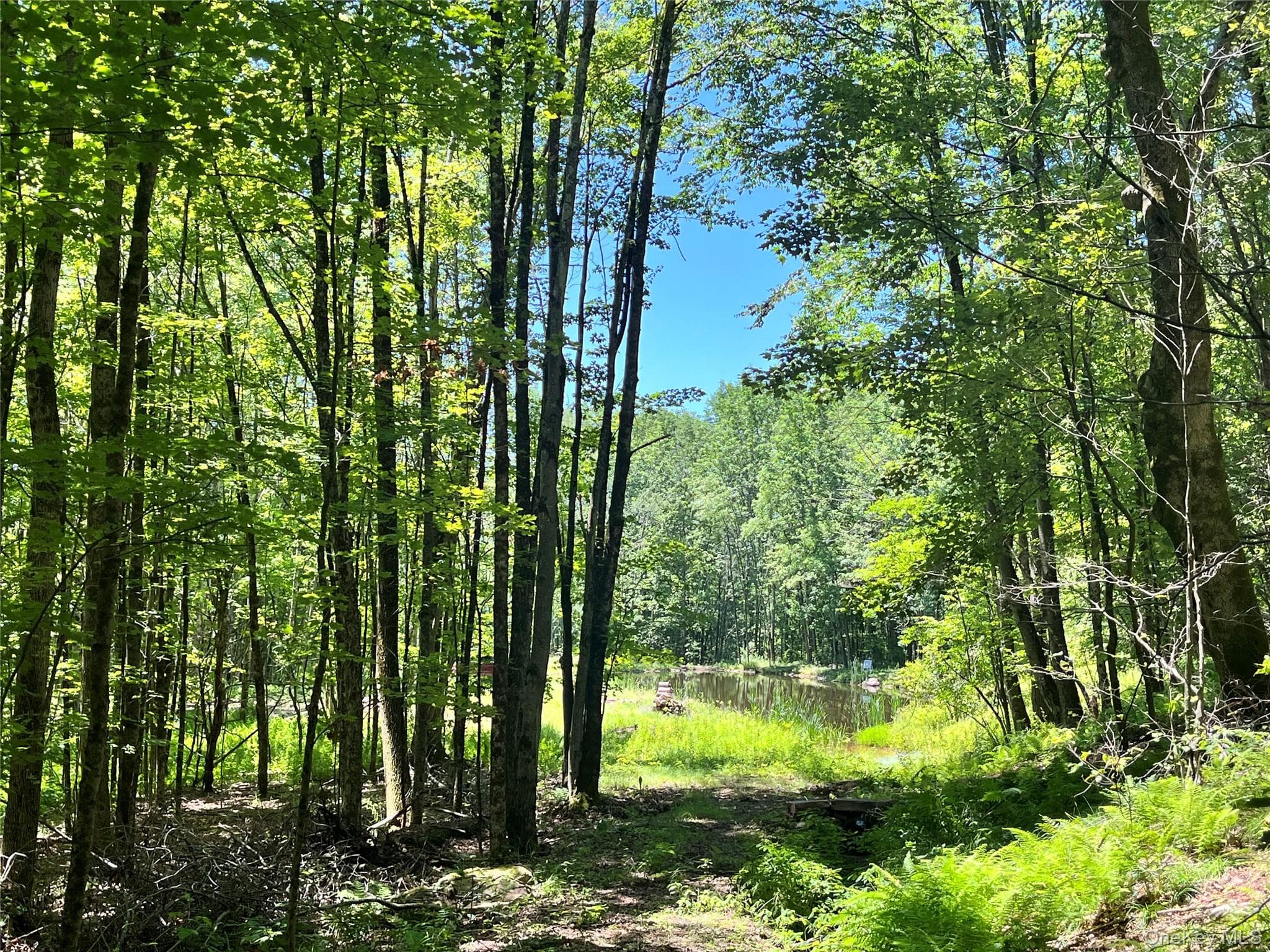 Upper Pond Dahlia Road thumbnail 18