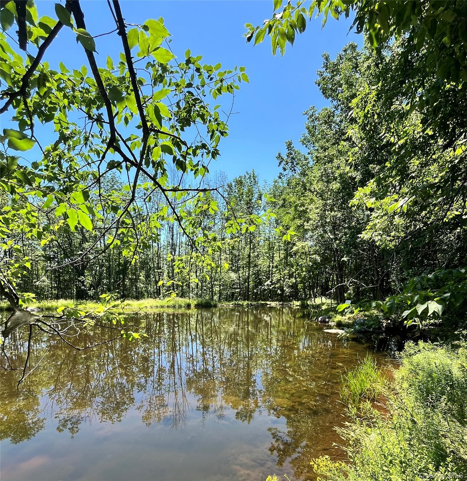 Upper Pond Dahlia Road thumbnail 23