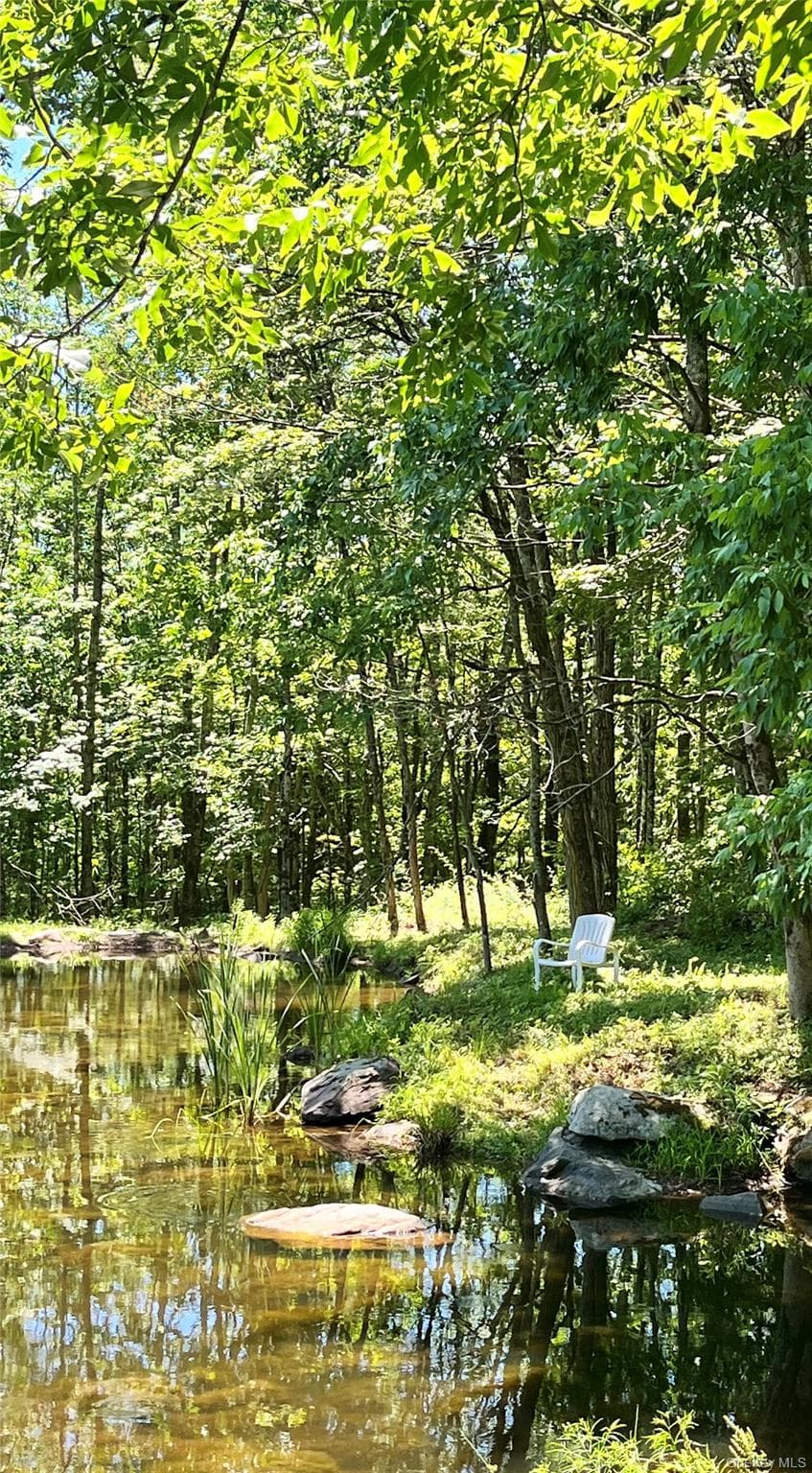 Upper Pond Dahlia Road thumbnail 24