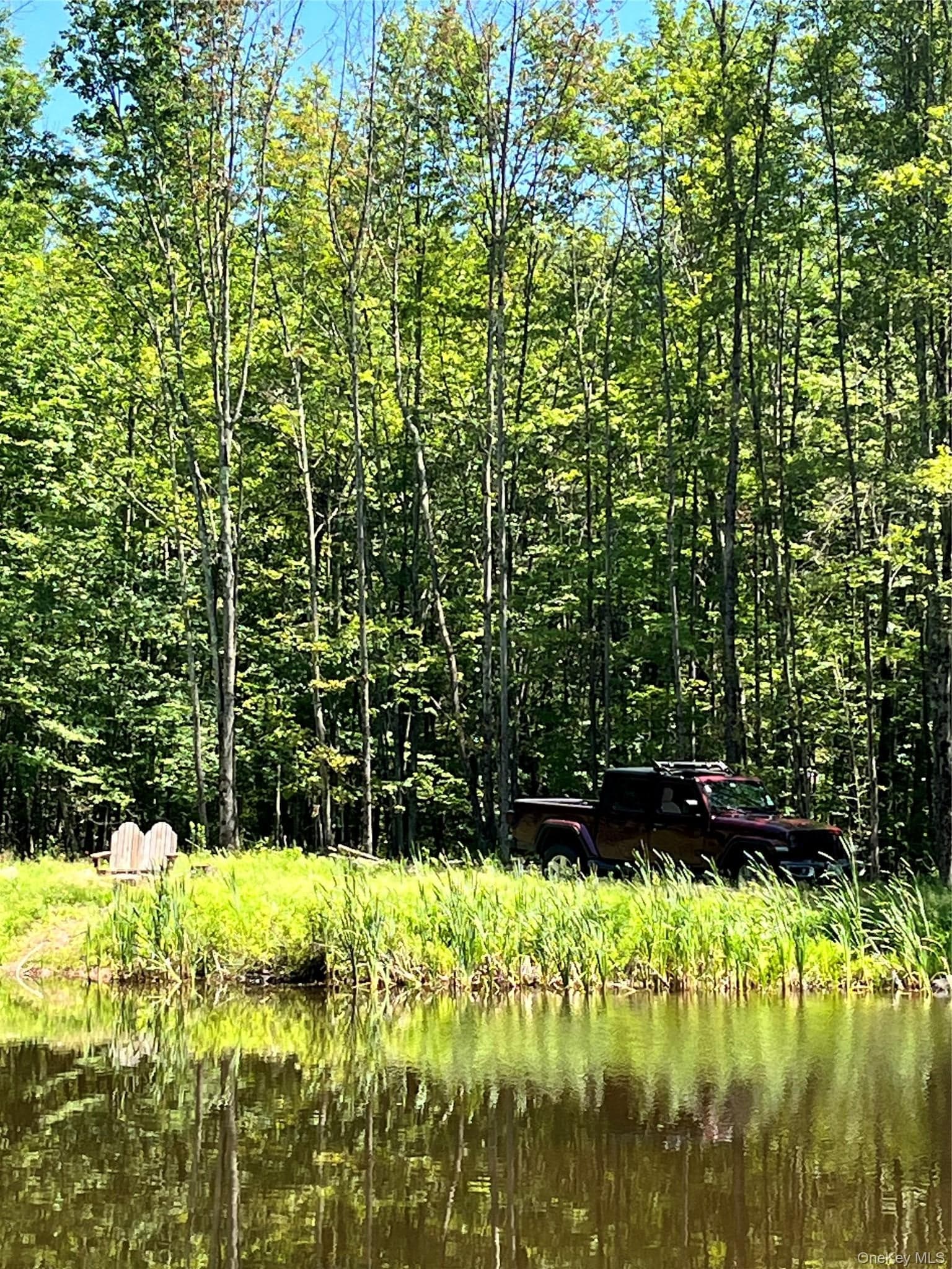 Upper Pond Dahlia Road thumbnail 13