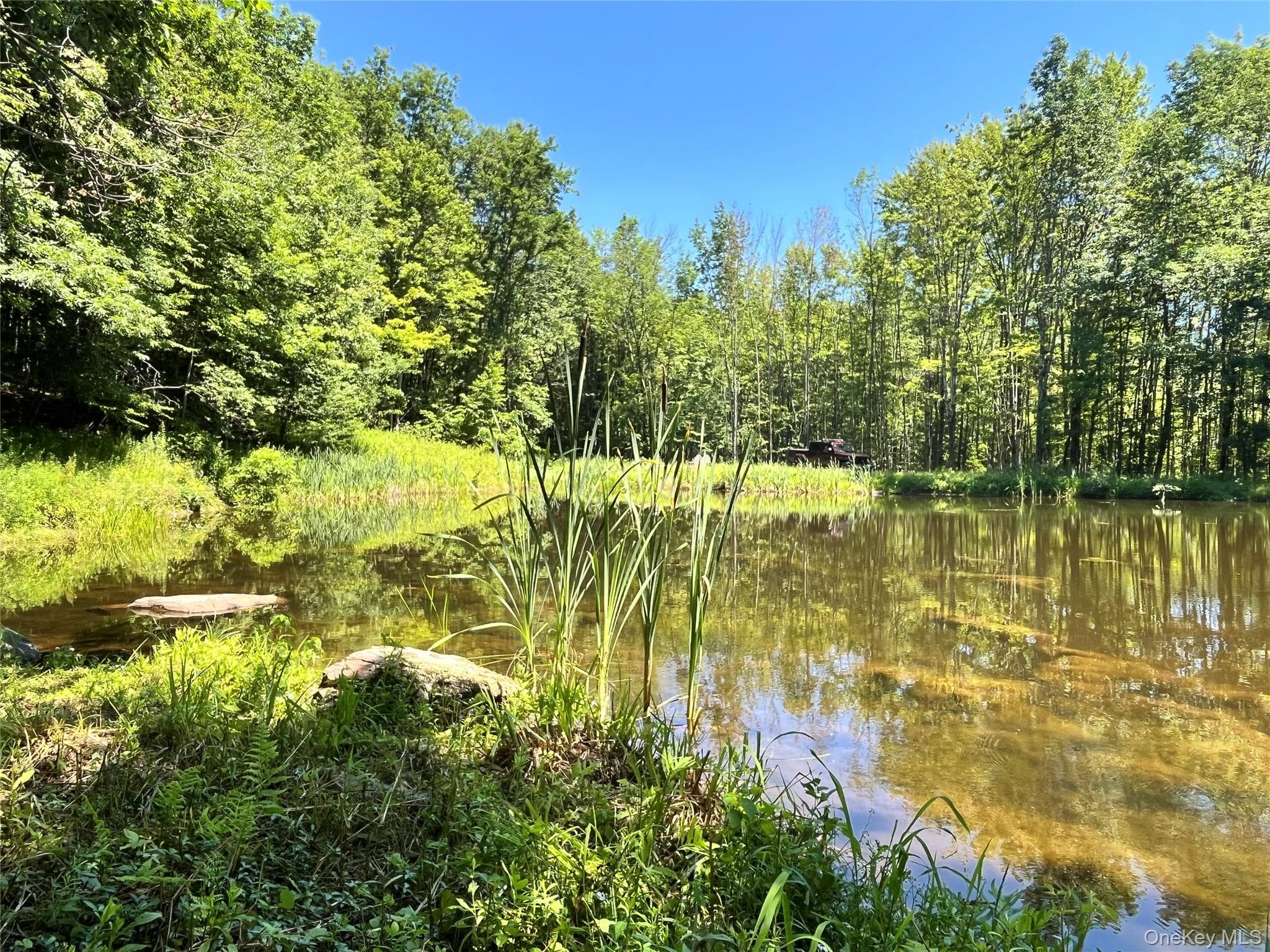 Upper Pond Dahlia Road thumbnail 14