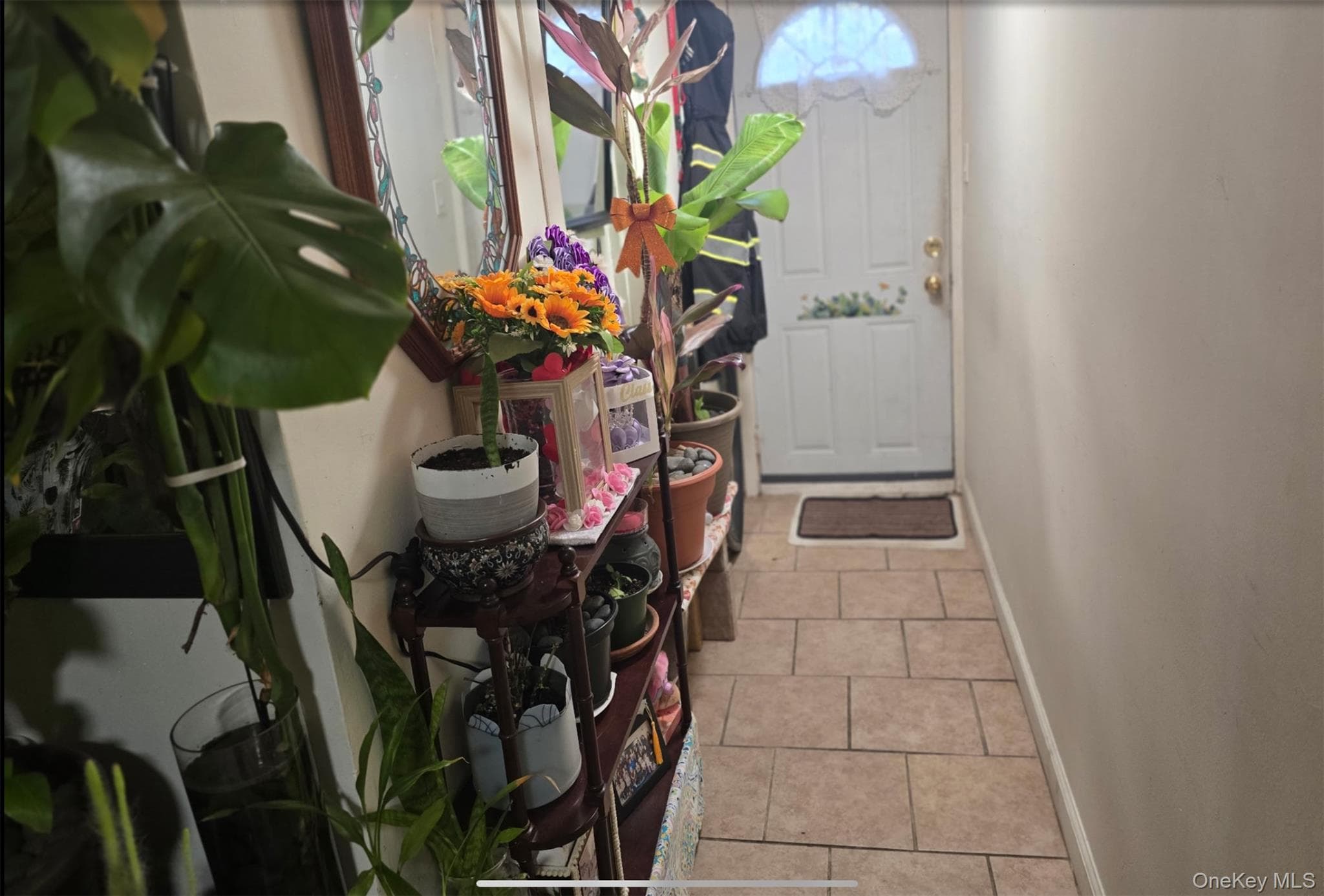 5 Campion Street thumbnail 9