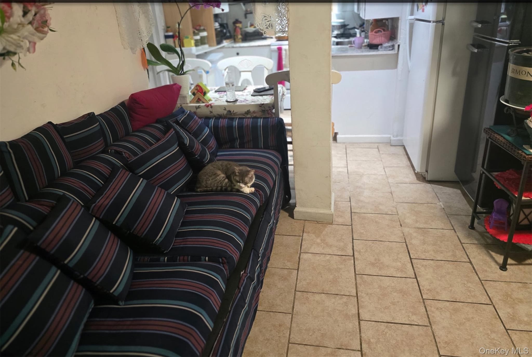 5 Campion Street thumbnail 7
