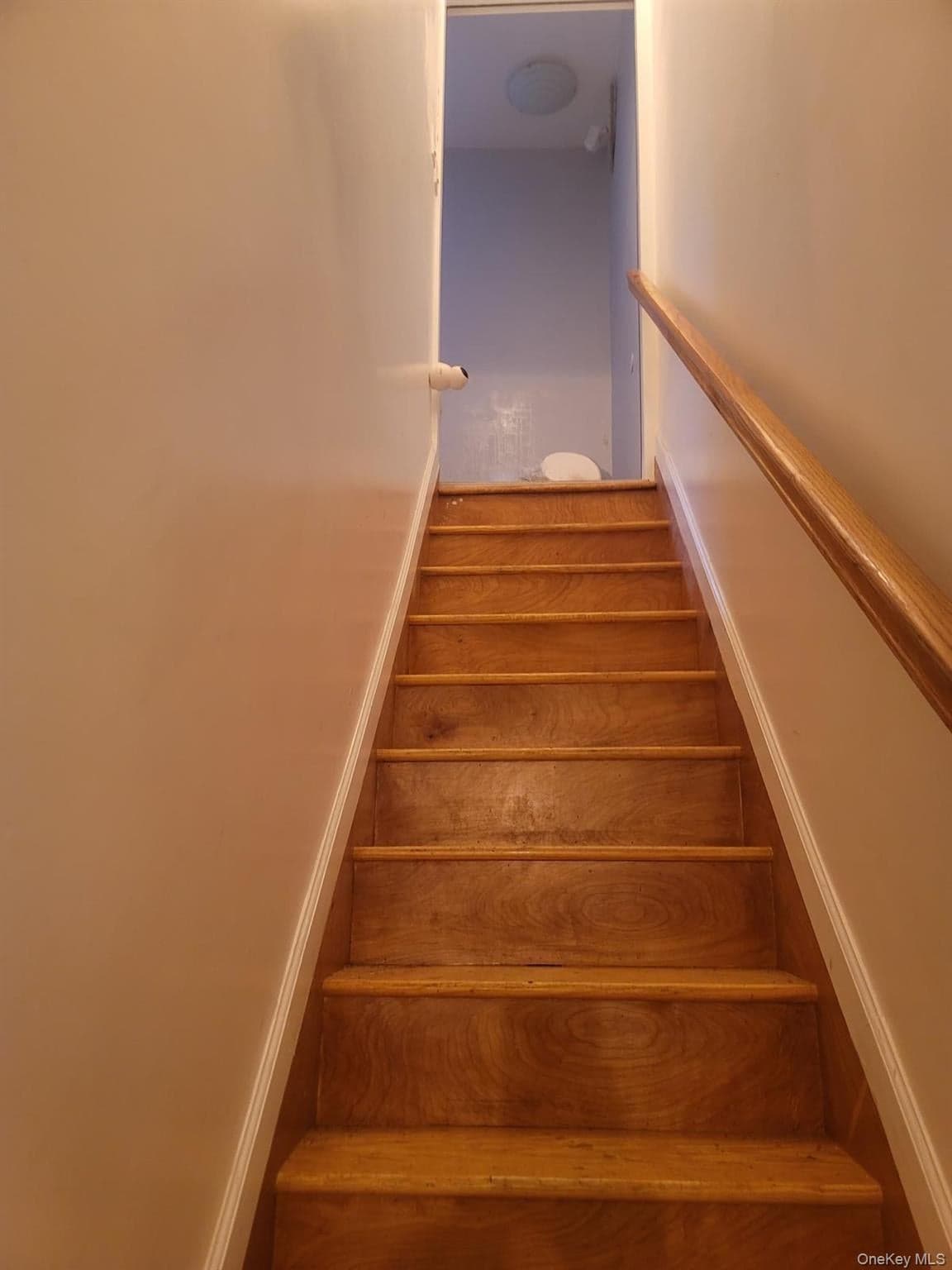 712 E 211th Street thumbnail 4