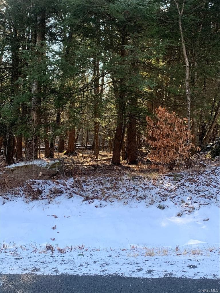 Friedman Road thumbnail 6