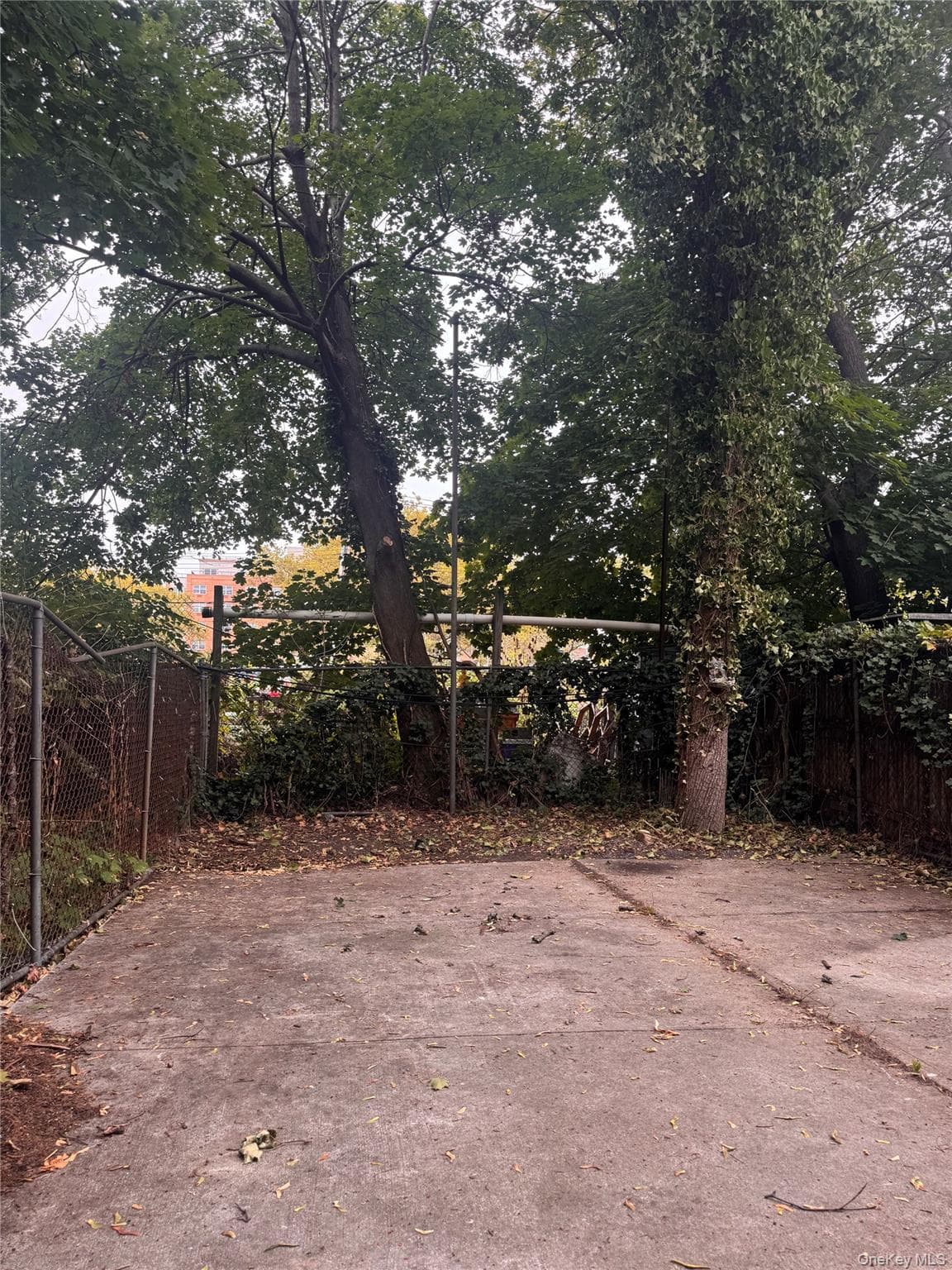 655 Hendrix Street thumbnail 8