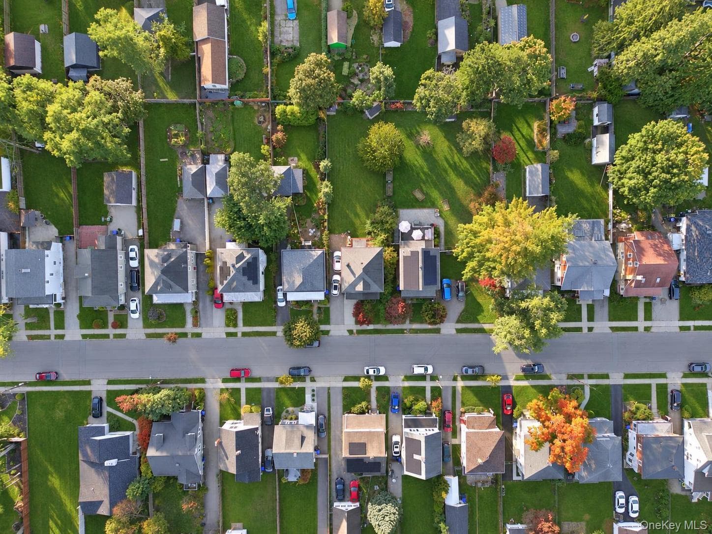 26 Oakwood Boulevard thumbnail 42