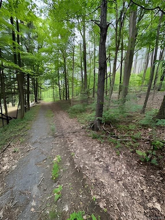 Gardner Drive thumbnail 2