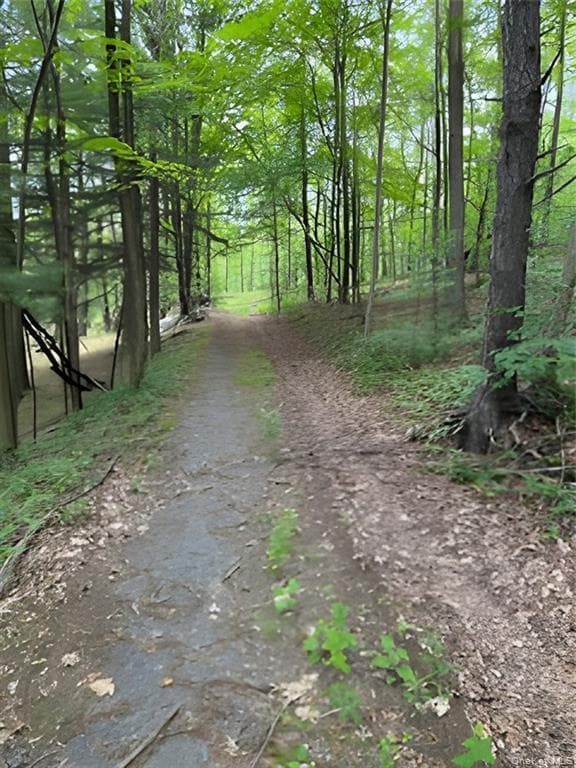 Gardner Drive thumbnail 4