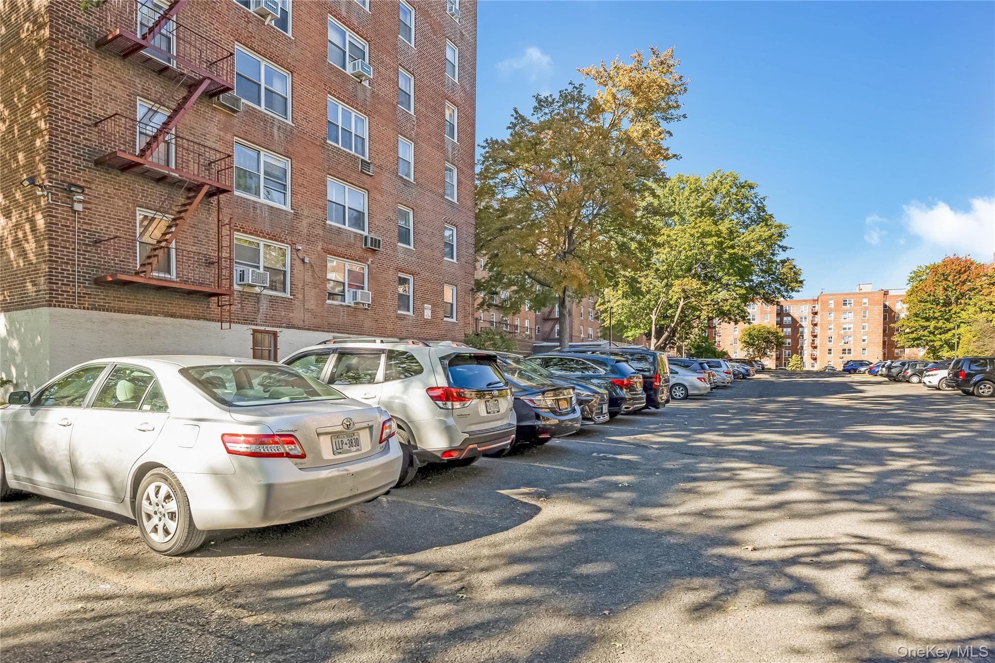26-21 Union Street Unit: 6D thumbnail 17