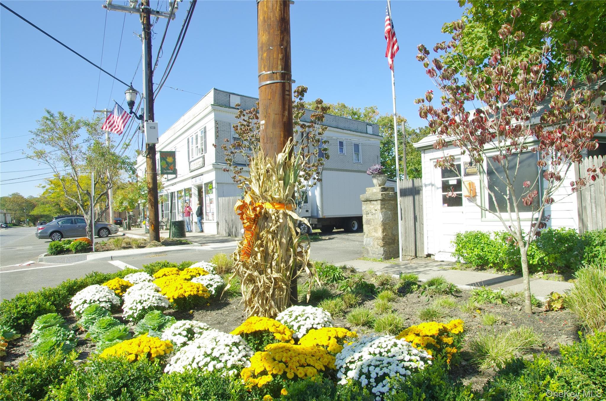 7 Vine Street thumbnail 43