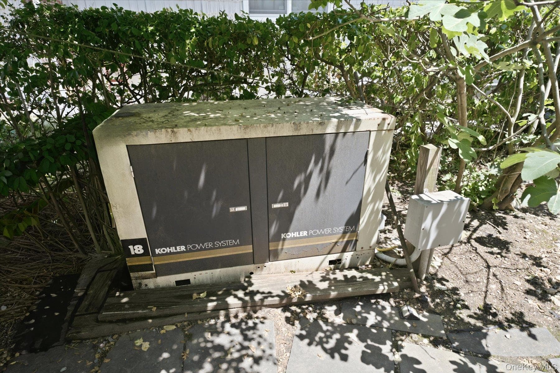 7 Vine Street thumbnail 33