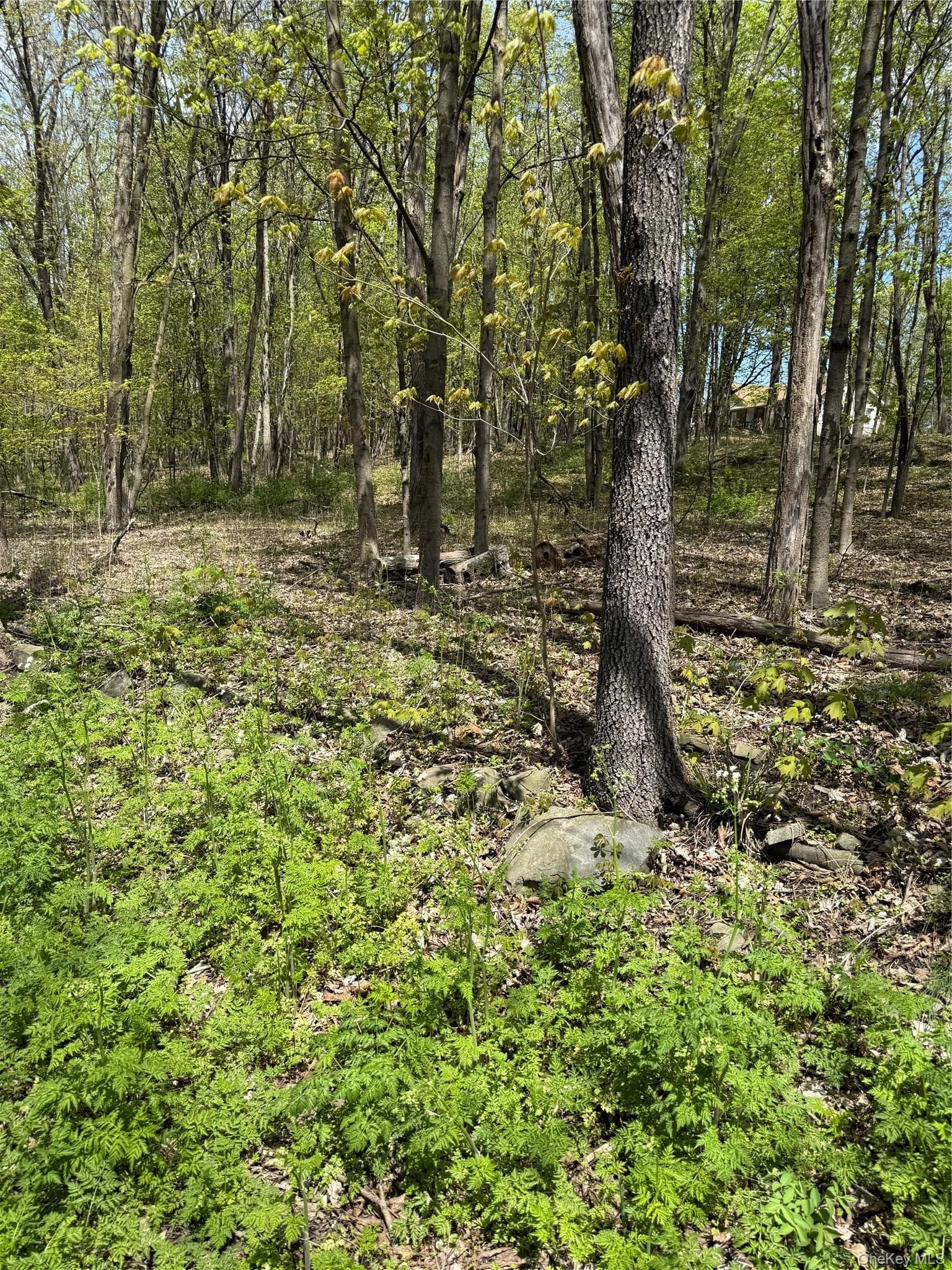 120 Floyd Ackert Road, Esopus