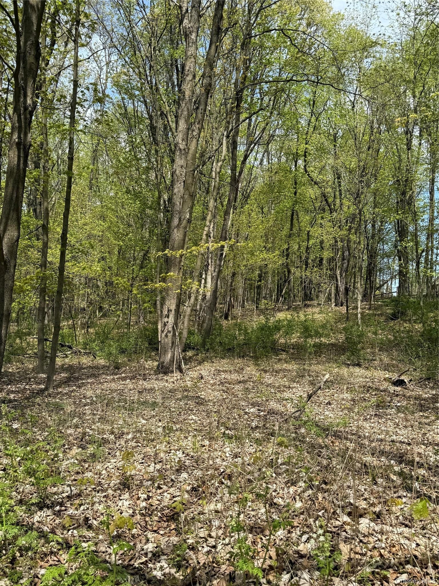 120 Floyd Ackert Road thumbnail 3