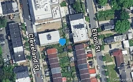 465 A Cleveland Street thumbnail 5