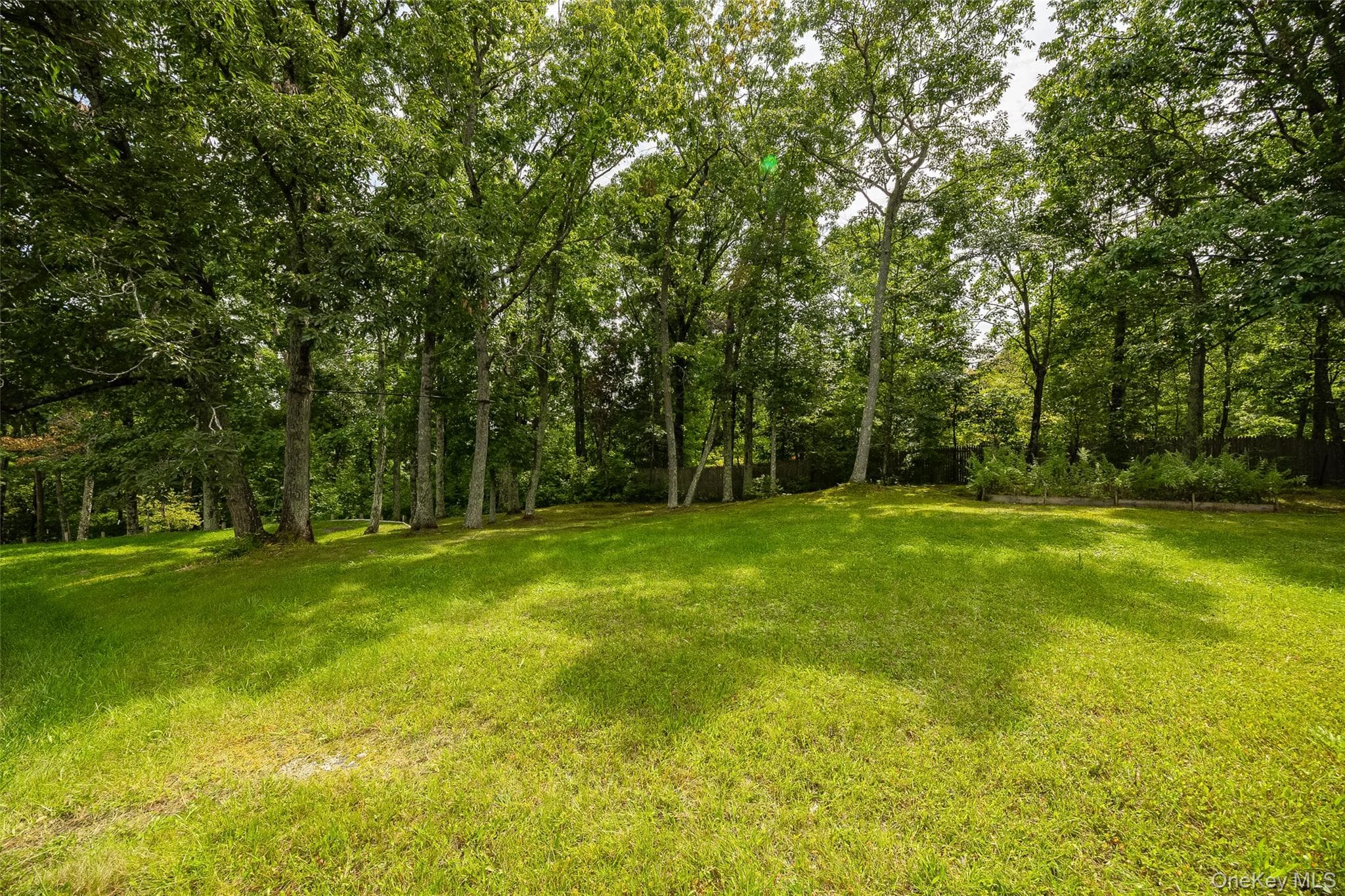 226 Charwill Drive thumbnail 36