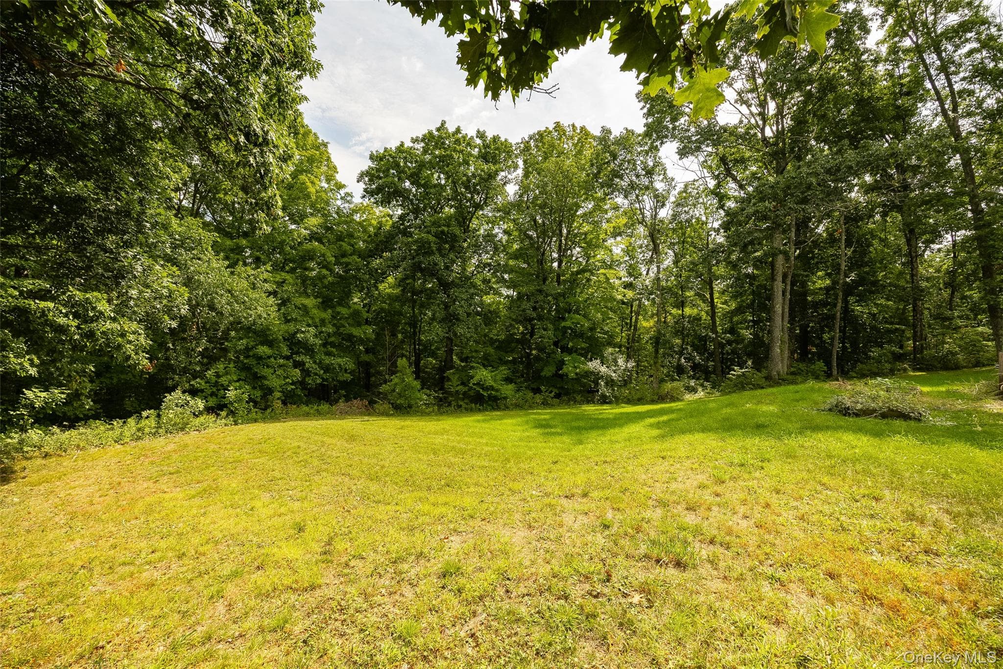 226 Charwill Drive thumbnail 37