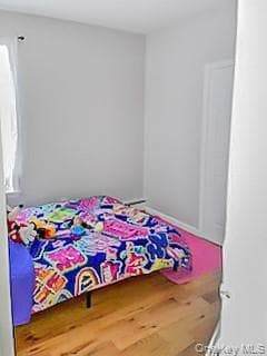971 E 95th Street thumbnail 13