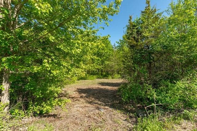 Rt 55 / Lauer Road thumbnail 10