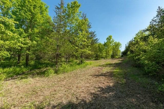 Rt 55 / Lauer Road thumbnail 6
