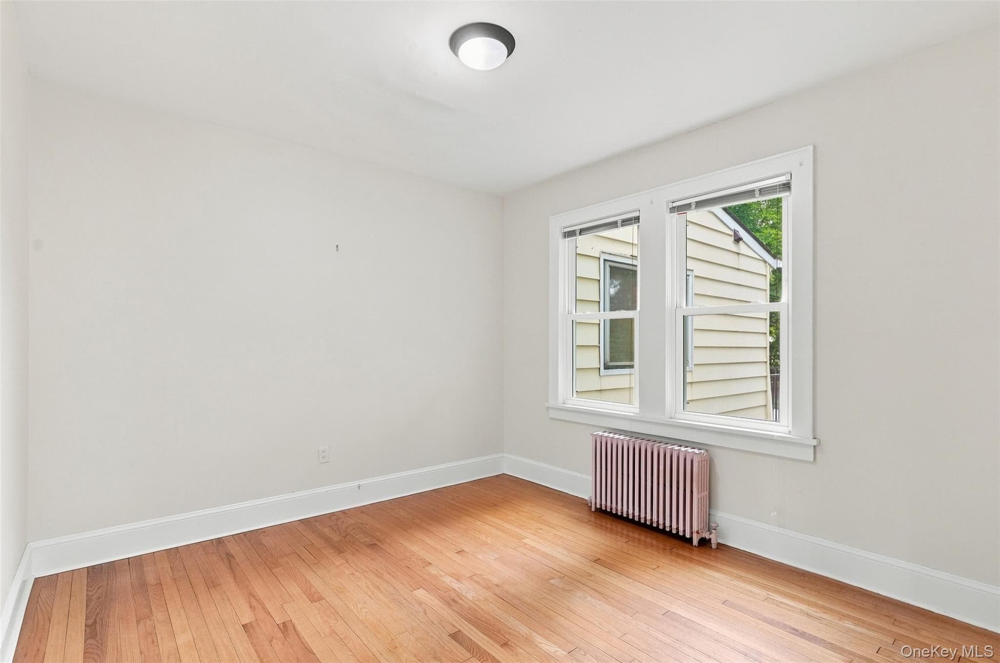 5 Dewitt Street thumbnail 19