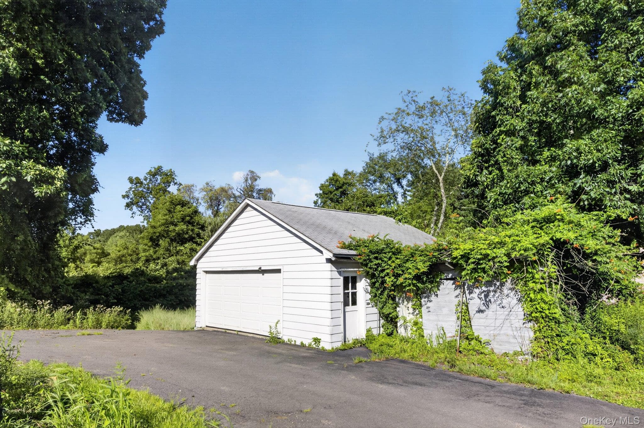 315 Pine Bush Road thumbnail 7
