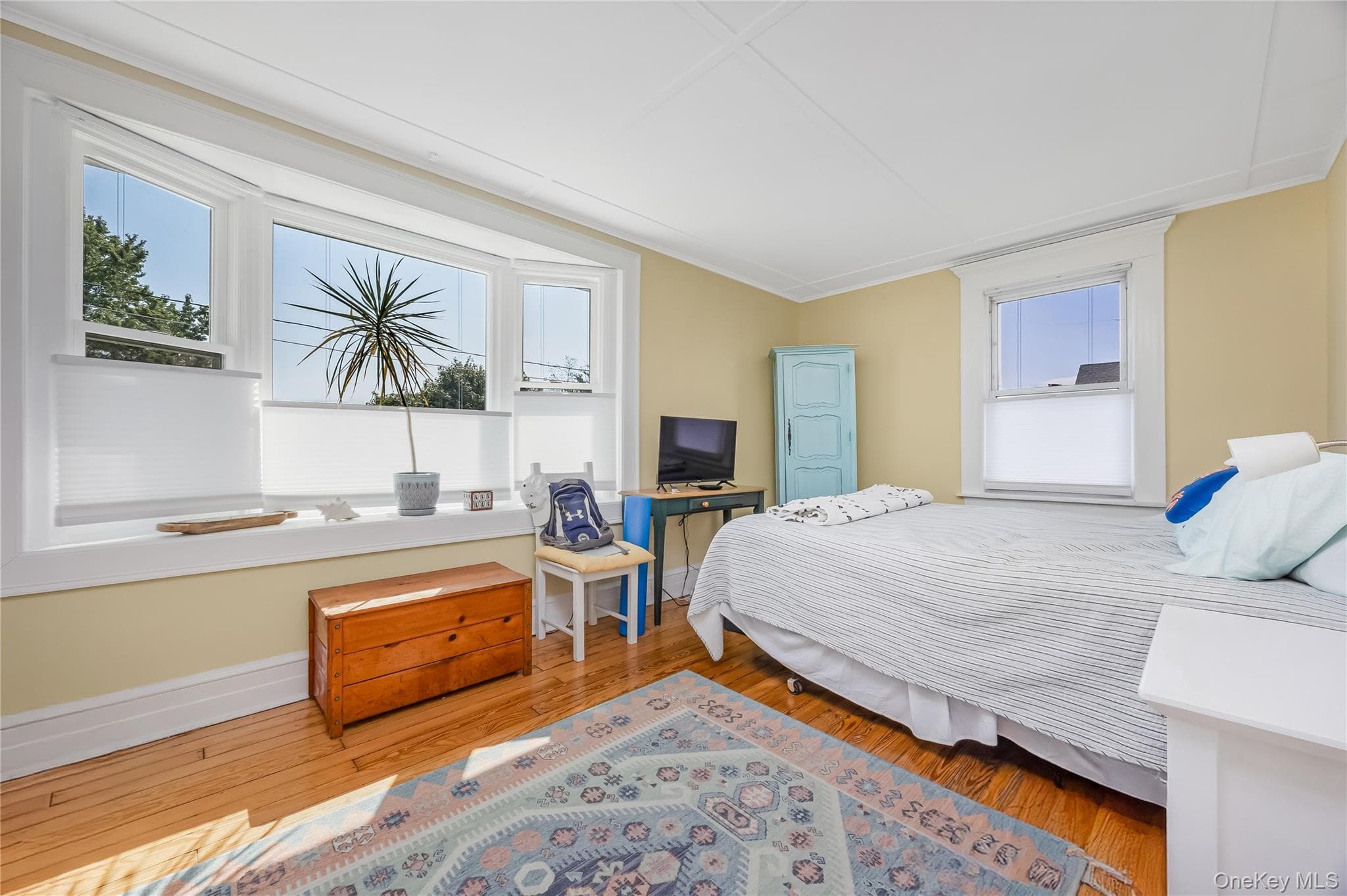 53 Thorne Street thumbnail 22