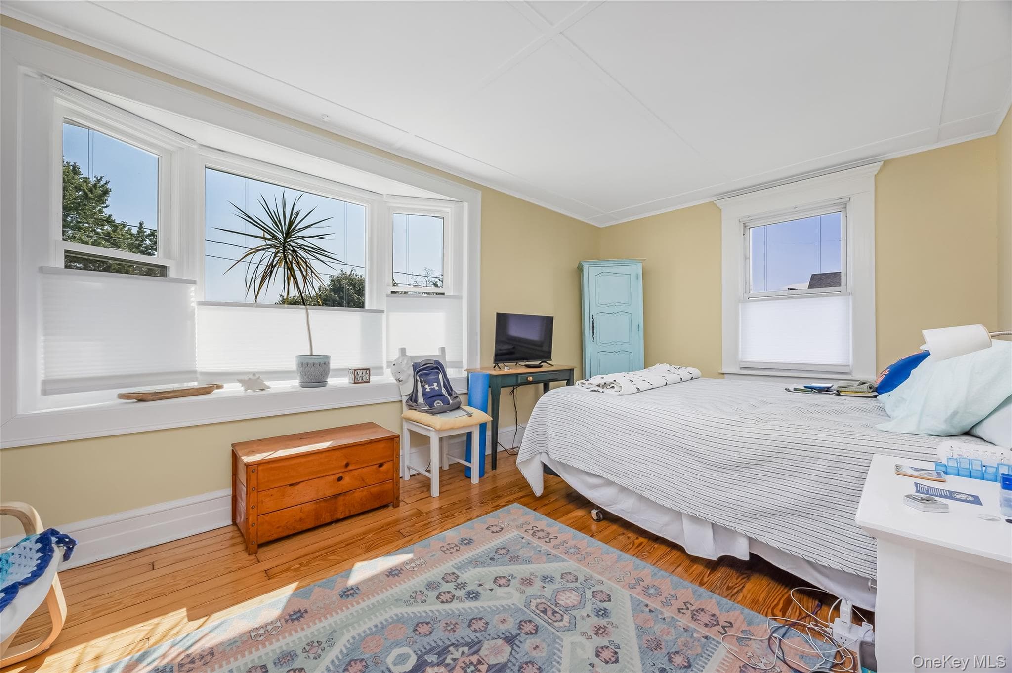 53 Thorne Street thumbnail 23