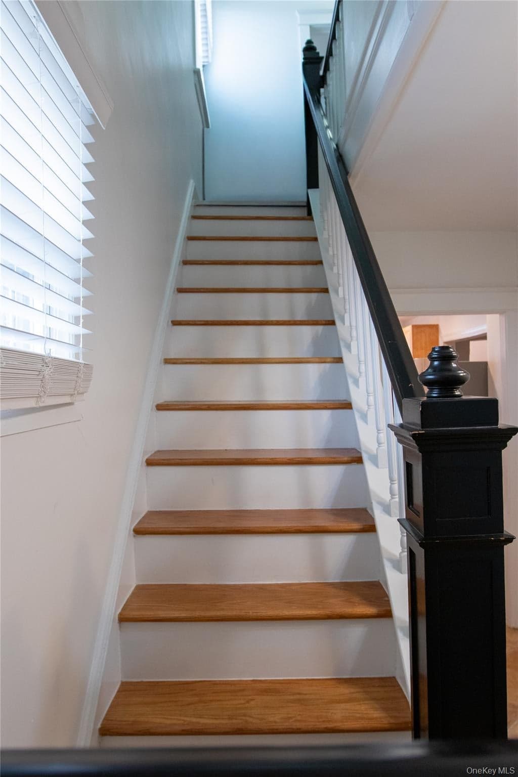 4810 Robertson Street thumbnail 7