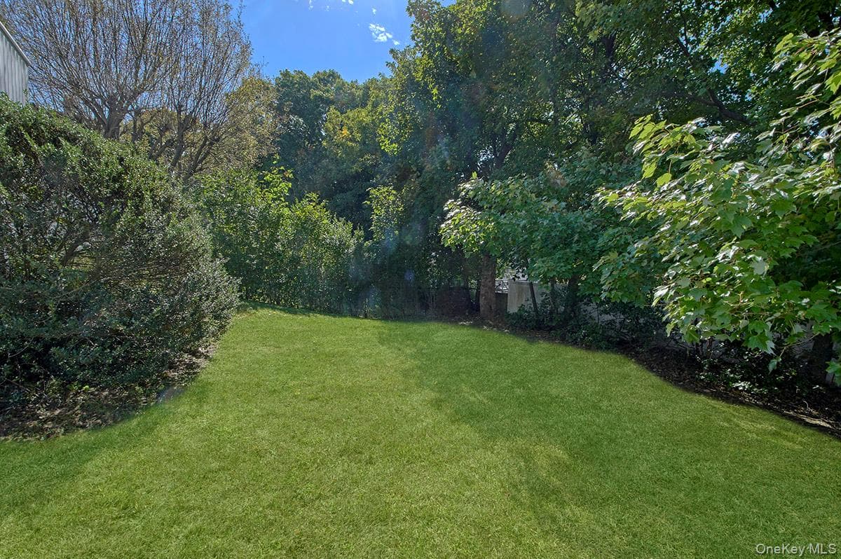 41 Mount Morris Avenue thumbnail 26