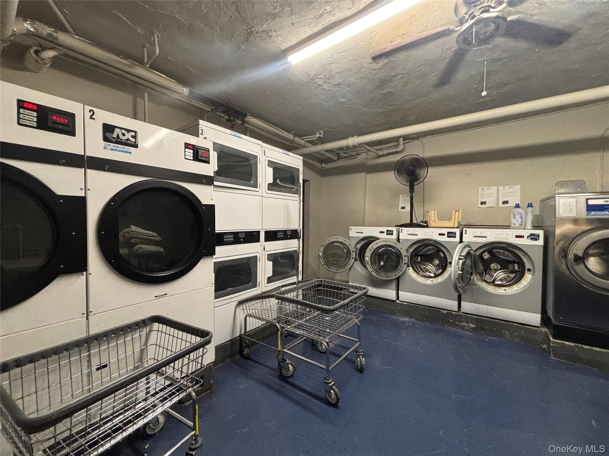 463 E 178 Street Unit: TB thumbnail 25