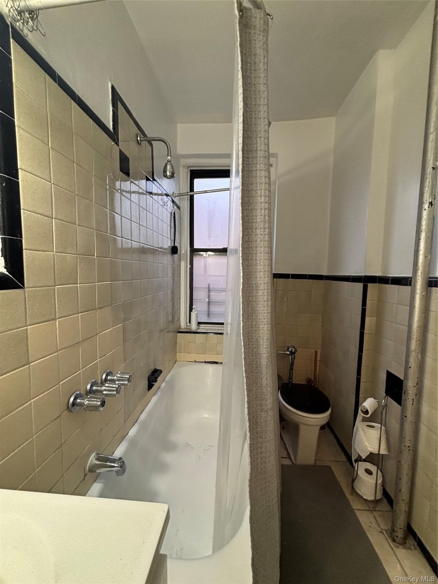 463 E 178 Street Unit: TB thumbnail 22
