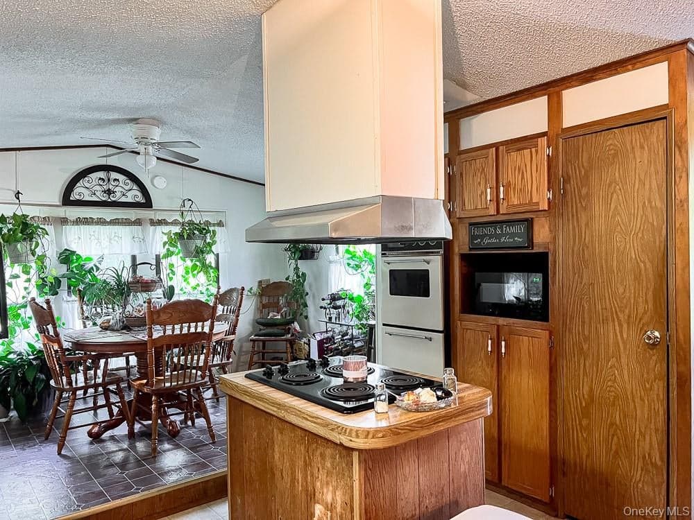 166 Seeman Road thumbnail 9